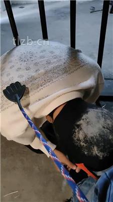 【月岚】刑房囚禁-遛狗爬行-踩踏碾压