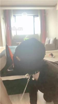 【丝雯大小姐】暴力-高跟深喉/胯下之辱