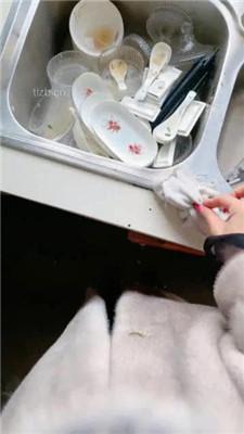 【沅芷大人】吊绑树上鞭子狂抽