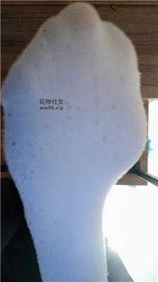 【上海汤圆】灯    250206-31