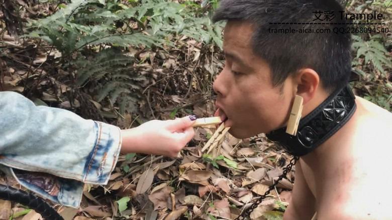 《湘香女王》野外负荆请罪的狗