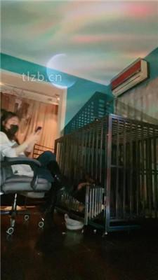 【语阳】狗笼圈养驯化前任