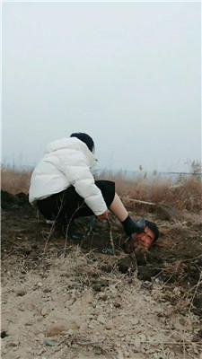 【沐颜】户外鞭打跟踪狂/体验活埋【双视角版】JS250111-25