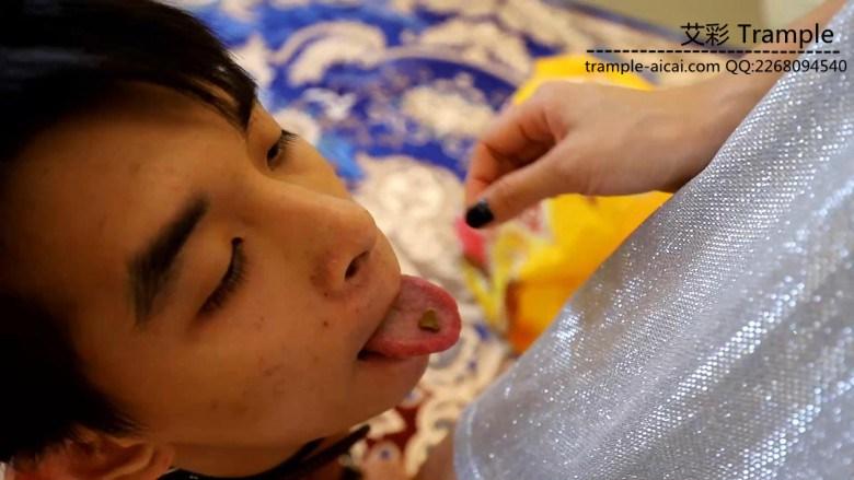 〖H.P.L栖心之栈〗—原味内内、狗奴训练