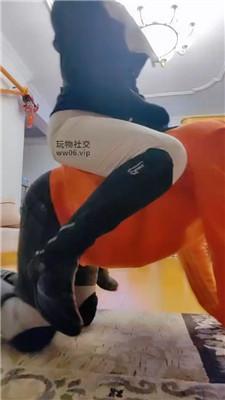 【魔鬼天使】女教练骑人形犬驯化 JS250116-38