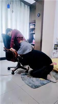 【女王大人】白袜脚踩虐下贱家奴 JS250312-9