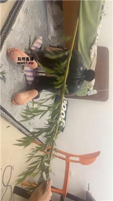 【饭饭】重度sp专场 JS250504-26