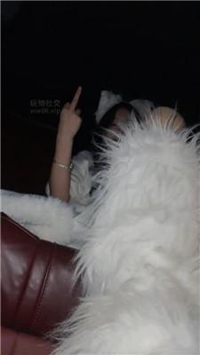 【狗哥】开发可爱小公举车内调 JS250304-36