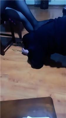 【鸿运双女团】双S-轮流教训偷原味的狗 JS250327-31