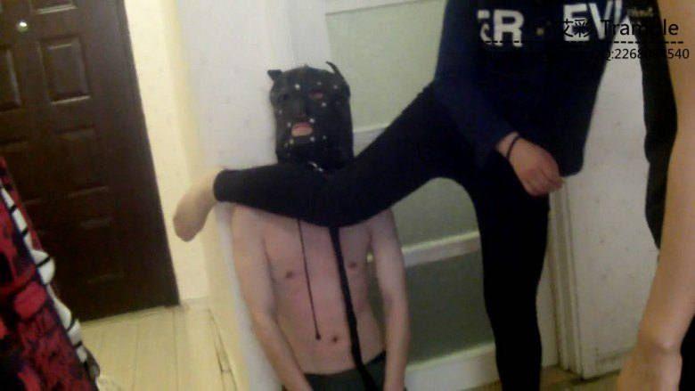 【群殴】萌系学娃们就是温柔小暴力