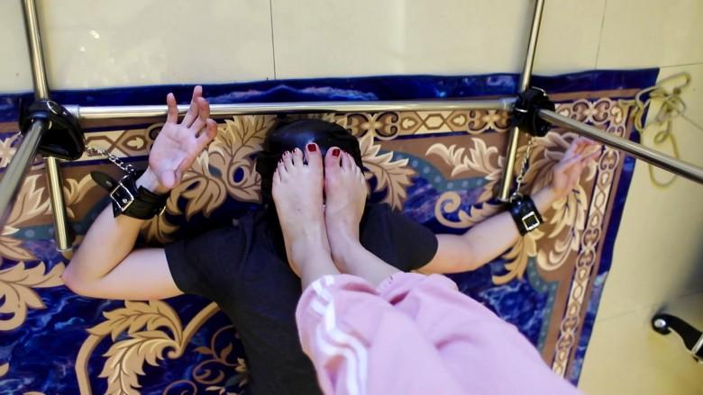 〖H.P.L栖心之栈〗—叒叕见血！尔岚暴力流放飞自我（下集）