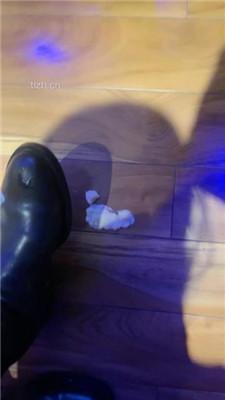 【毛绒月亮】长靴提档/抽耳光/踩踏闻白袜/脚插嘴