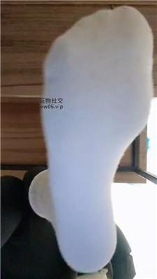 【上海汤圆】灯    250206-31