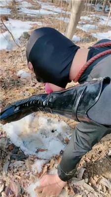 【高傲】户外训狗-鞭打/浓痰/赏赐圣水/骑马