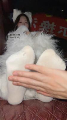 【狗哥】开发可爱小公举车内调 JS250304-36