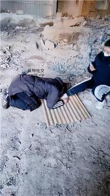 【营S】双S-户外虐打偷拍狗 JS250222-8