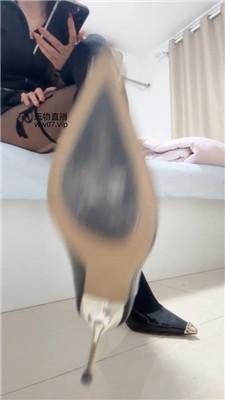 【酒鸽】贱狗们    250226-5