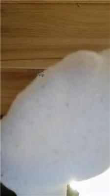 【上海汤圆】灯    250206-31