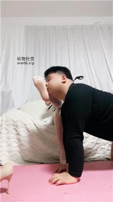 【甜音】高跟白丝羞辱脚下肥狗 JS250117-16