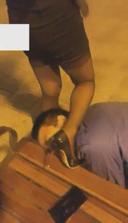 VIVI圣诞节马路边花式圣水超刺激