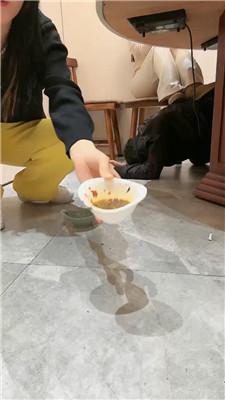 【乔伊】双S-餐桌下脏鞋蹂躏踩虐 JS250207-12