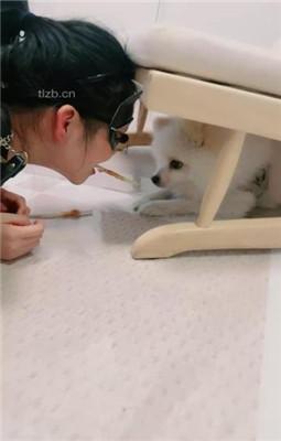 【爱神】情侣奴犯贱-暴力踢踹/脚喂食/sp/吃浓痰