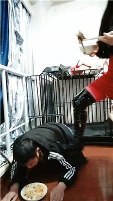 【冰炫】囚禁狗笼犬化【双视角版】 JS250315-36