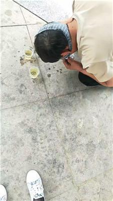 【魅影】户外遛狗训化家奴 JS250523-27