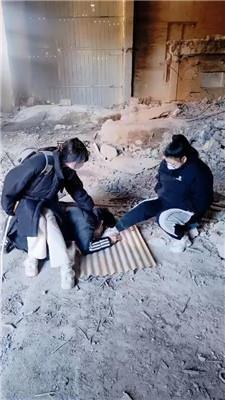 【营S】双S-户外虐打偷拍狗 JS250222-8