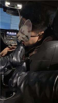 【喵酱紫】车内调-长靴肉丝强迫虐 JS250204-30