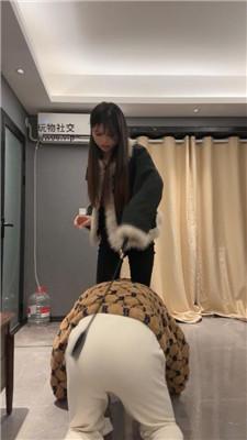 【狗哥】小白鞋白袜踩虐/转胯鞭打/坐脸窒息 bf49037