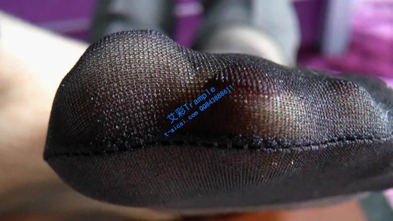 【珊瑚湾】GTS POV 同事变成小虫子