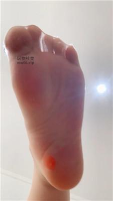 【伊柔】盯设    250216-18