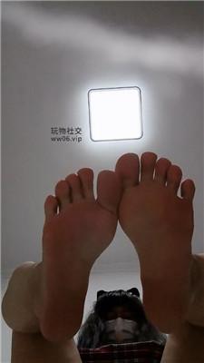 【蛮蛮呀】买！棉袜裸足调贱狗    250209-8