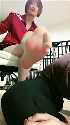 【缘彼大大】四肢固定犬化专场 JS250318-13