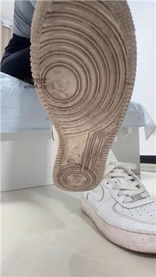 【酒鸽】灯    250121-6