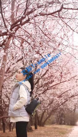 女职员怒惩变态上司