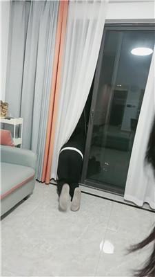 【薇薇情侣主】家务奴上门伺候【下】 JS250204-26