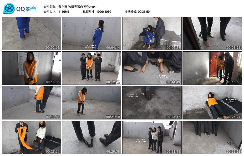 【梨花雨】独留靑冢向黄昏