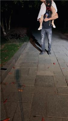 【苏苏不苏】户外-骑马狗爬犬化 bf52451