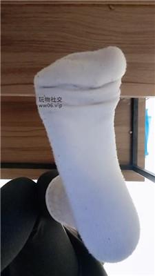 【上海汤圆】灯    250206-31