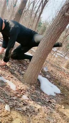 【高傲】户外训狗-鞭打/浓痰/赏赐圣水/骑马