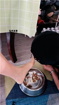 【白狐】狗盆喂食专场 JS250503-6