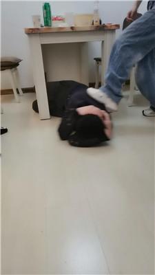 【Da猫】双S-桌底脏鞋伺候【三视角版】JS250312-30