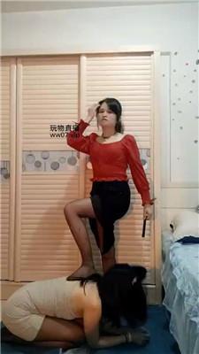 【熊宝】狗链遛狗女神犬 bf50778