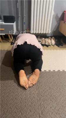 【薇娅】圈养生活犬化训练【下】