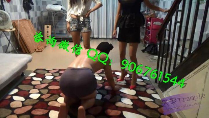 品丝阁双主刁难偷懒狗 品丝阁双主刁难偷懒狗