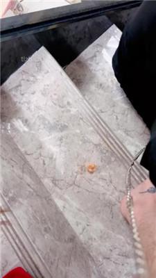 【小软】圣诞女郎-美腿诱惑恋足舔