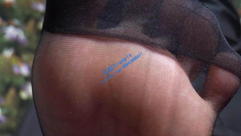 【珊瑚湾】GTS POV 同事变成小虫子