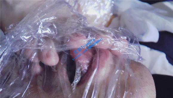 【PSLZ】女女-长腿保姆造反啦2